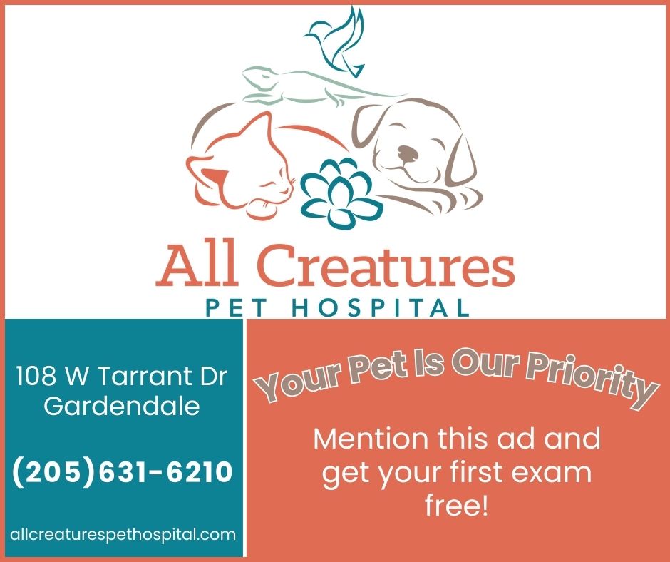 All Creatures Pet Hospital